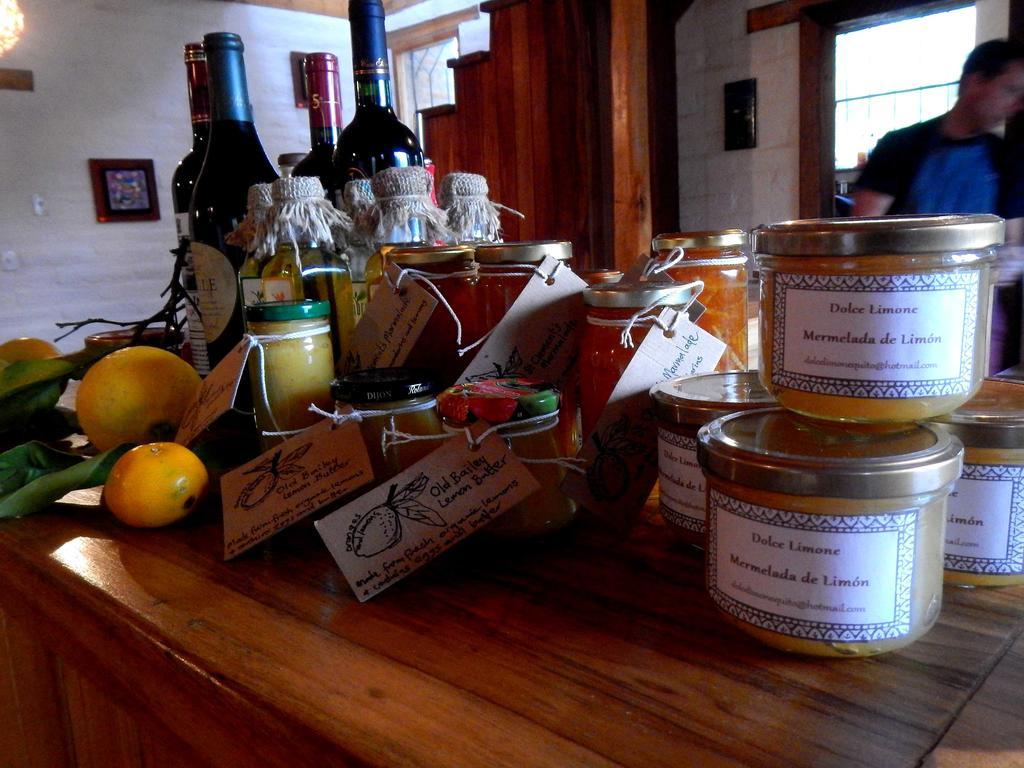 La Casa Del Tilo Bed & Breakfast Hacienda Santa Rosa Екстериор снимка